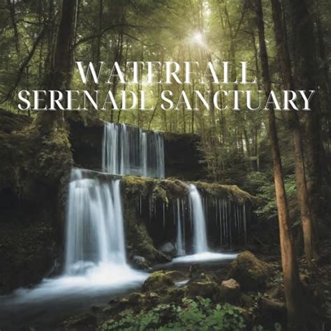 Morning serenade magical sanctuary